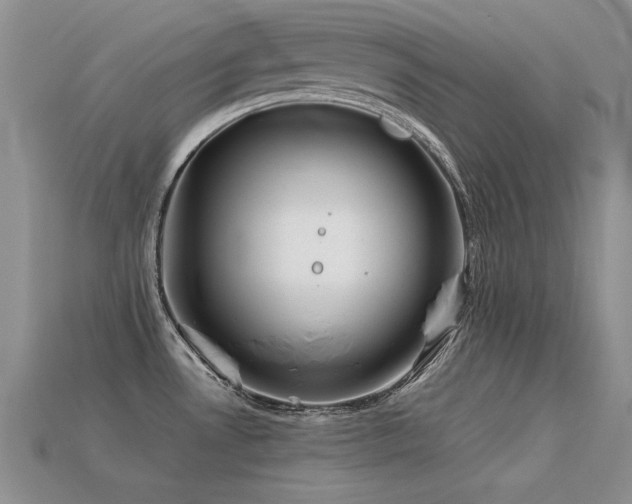 X0000113591530200909181321