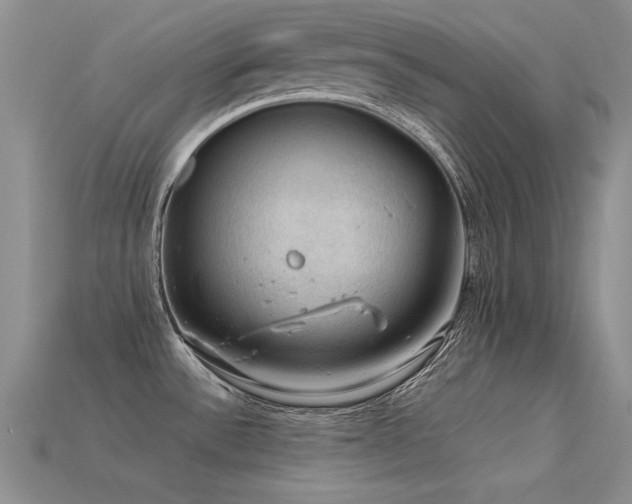 X0000113591532200909181321