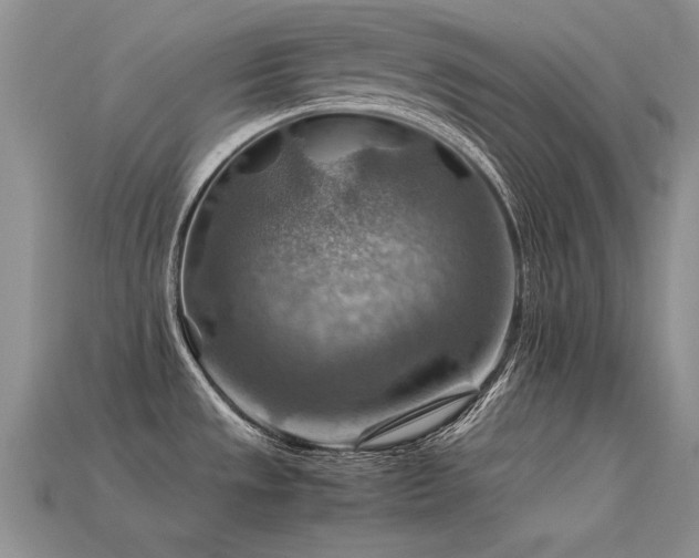 X0000113591533200909181321