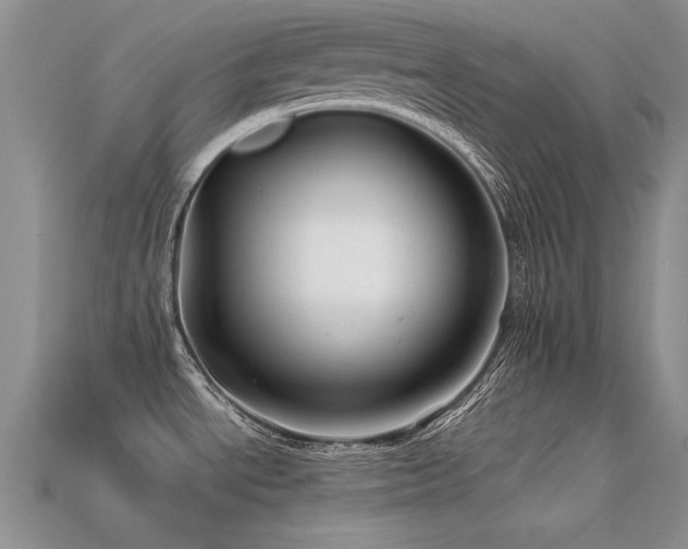 X0000113591534200909181321