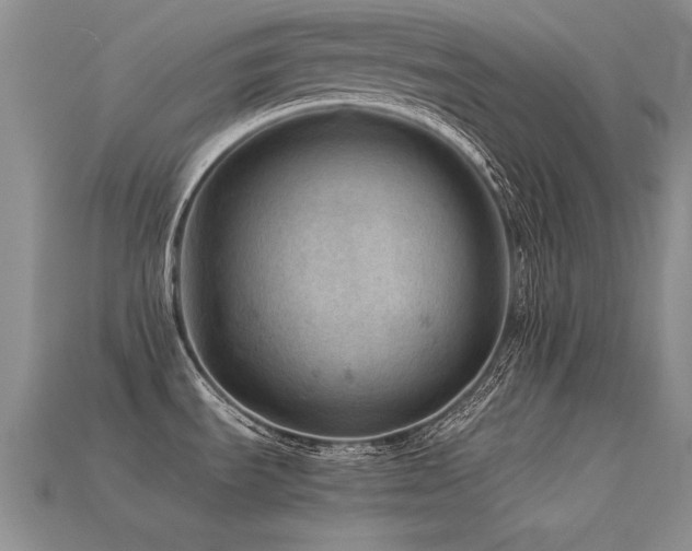 X0000113591535200909181321