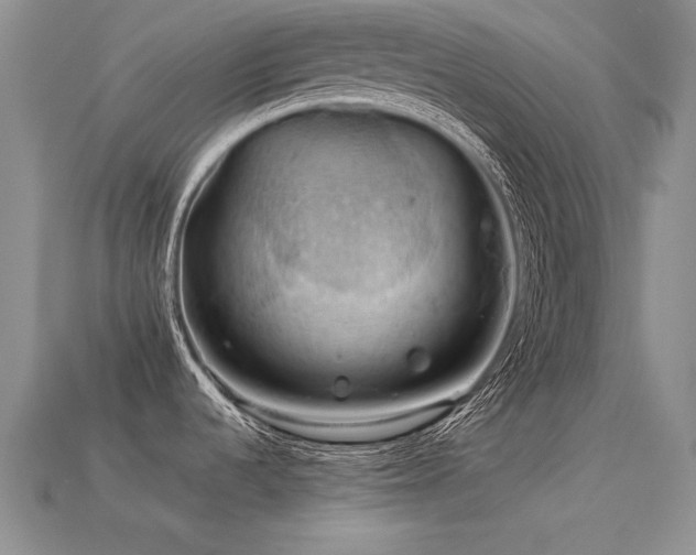 X0000113591536200909181321