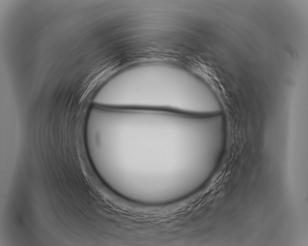 X0000113590001200909251145