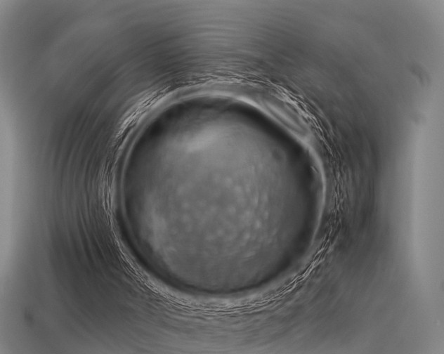 X0000113590002200909251145