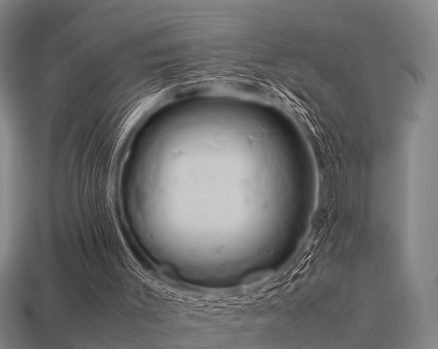 X0000113590003200909251145