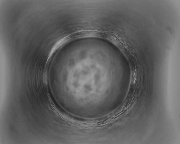 X0000113590004200909251145