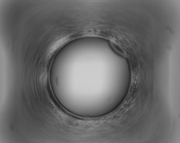 X0000113590005200909251145