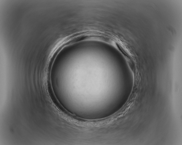 X0000113590007200909251145