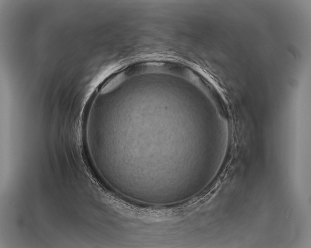 X0000113590008200909251145