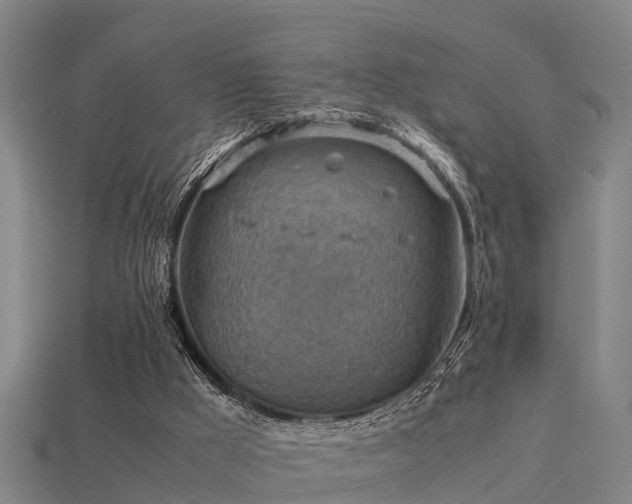 X0000113590009200909251145