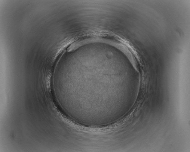 X0000113590010200909251145