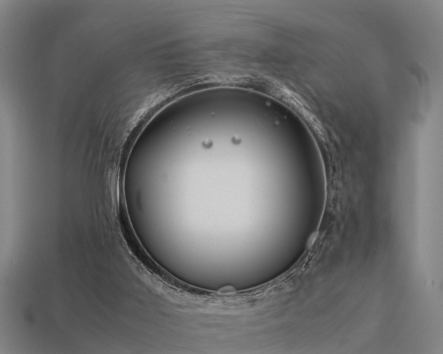 X0000113590011200909251145