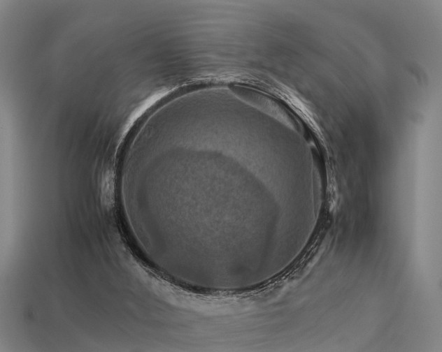 X0000113590012200909251145