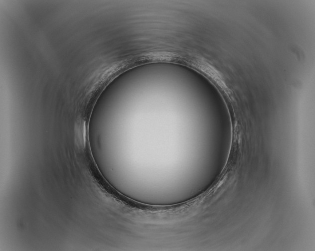 X0000113590013200909251145