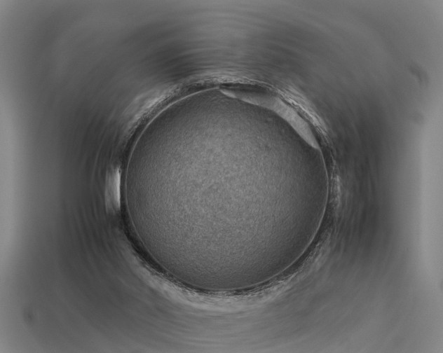 X0000113590014200909251145