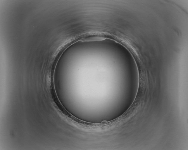 X0000113590015200909251145