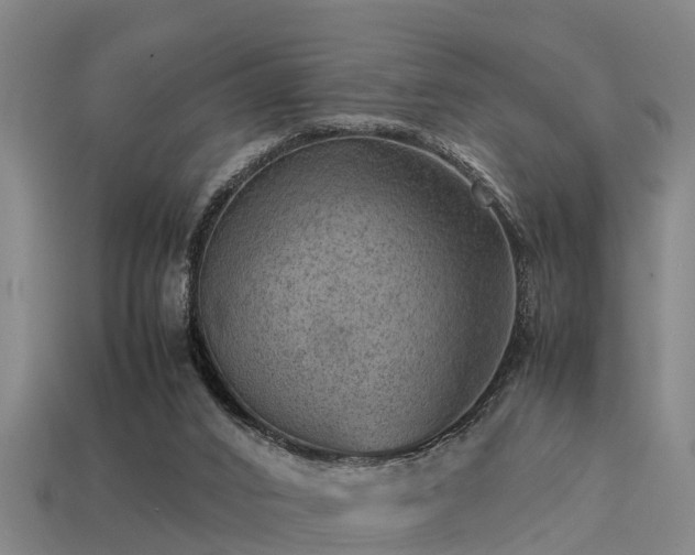 X0000113590016200909251145