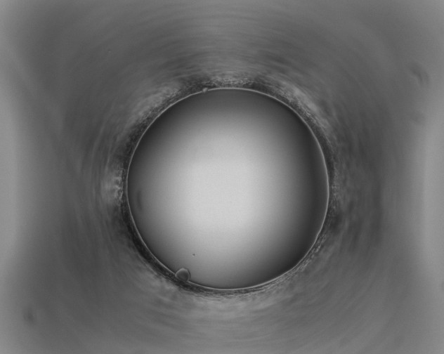 X0000113590017200909251145