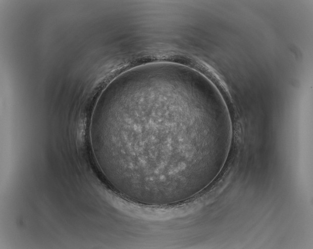 X0000113590018200909251145