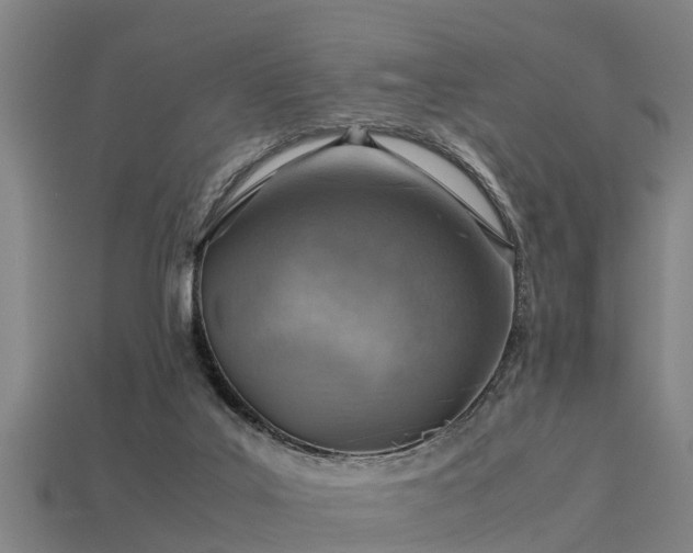 X0000113590019200909251145