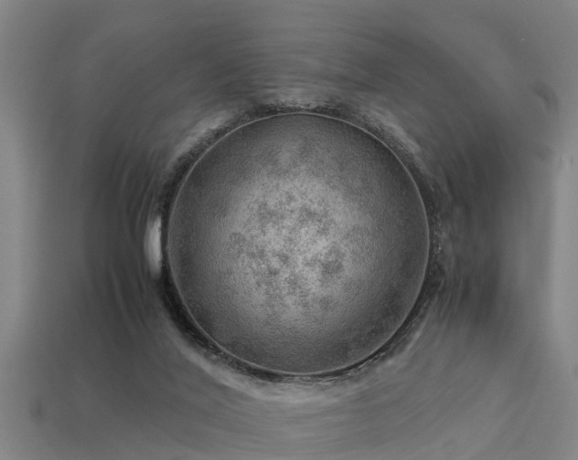 X0000113590020200909251145