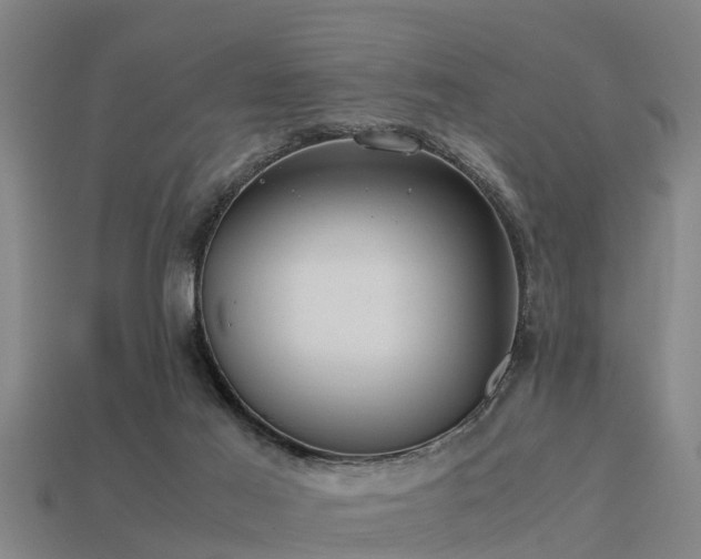 X0000113590021200909251145