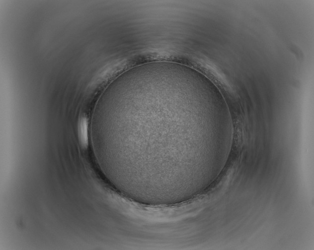 X0000113590022200909251145