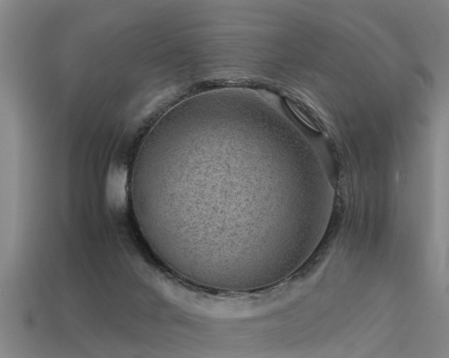 X0000113590024200909251145