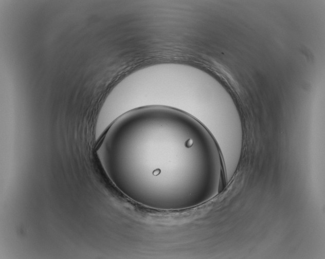 X0000113590025200909251145