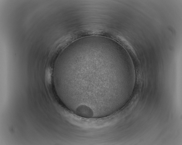 X0000113590026200909251145