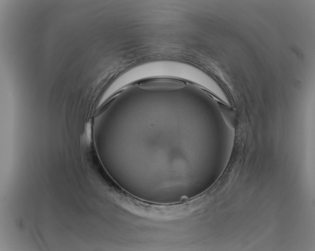 X0000113590027200909251145