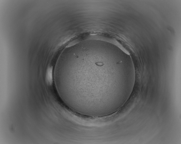 X0000113590028200909251145