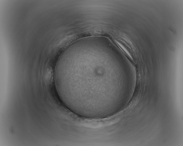 X0000113590029200909251145