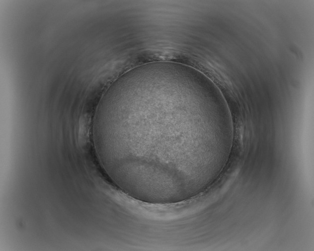 X0000113590030200909251145