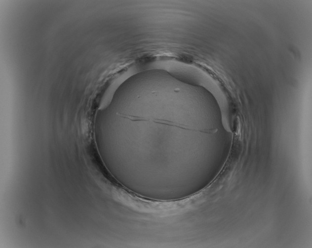 X0000113590031200909251145