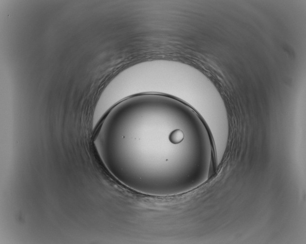 X0000113590033200909251145