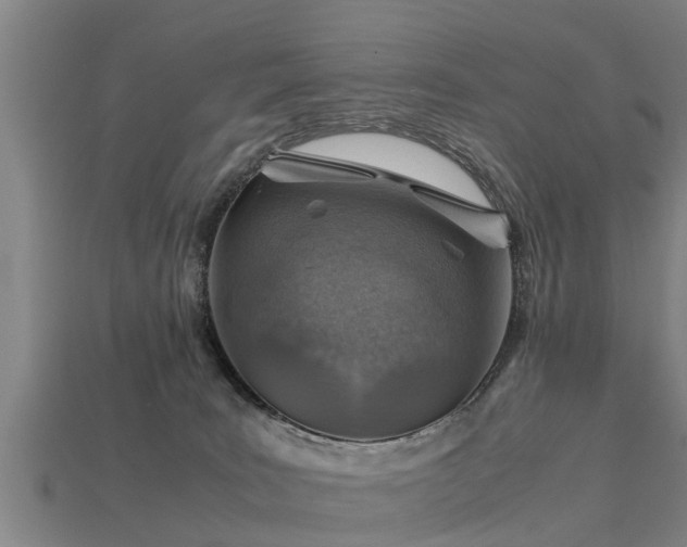 X0000113590035200909251145