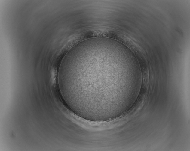 X0000113590038200909251145