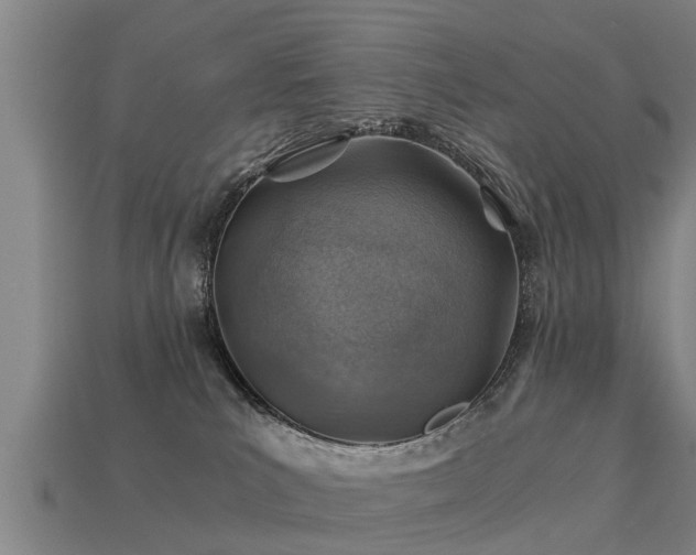 X0000113590039200909251145