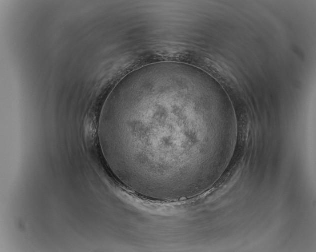 X0000113590040200909251145