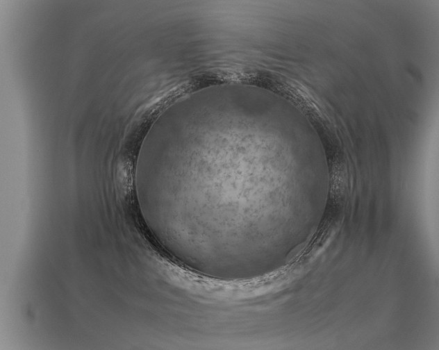 X0000113590043200909251145