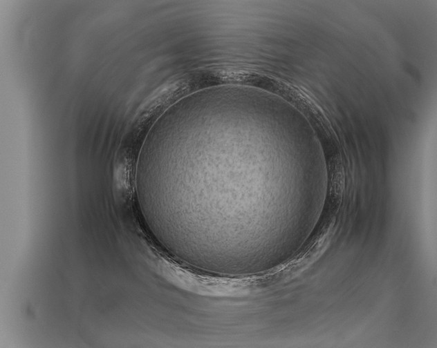 X0000113590044200909251145