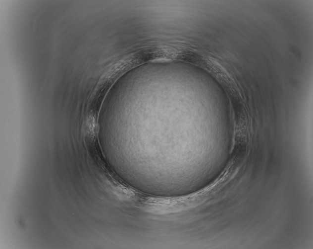 X0000113590045200909251145