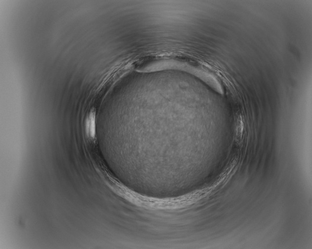 X0000113590046200909251145