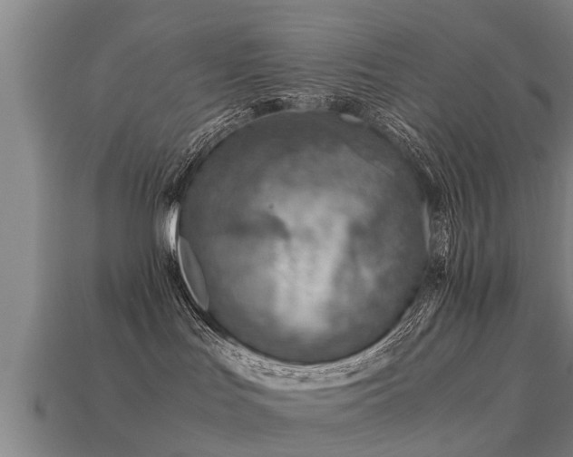 X0000113590047200909251145