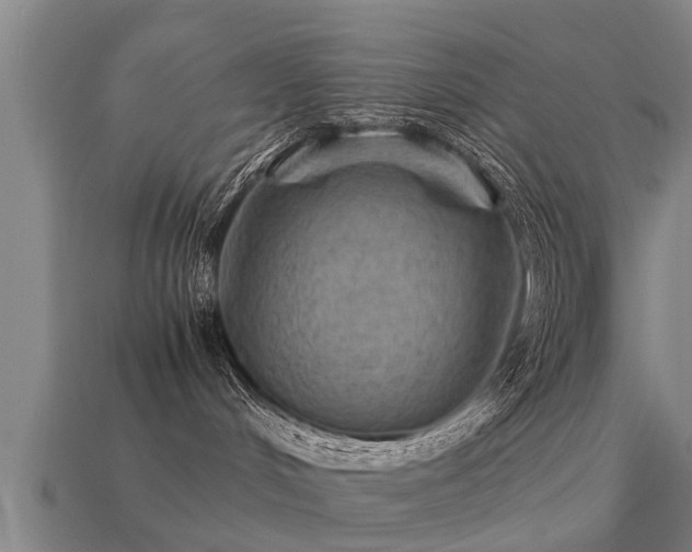 X0000113590048200909251145