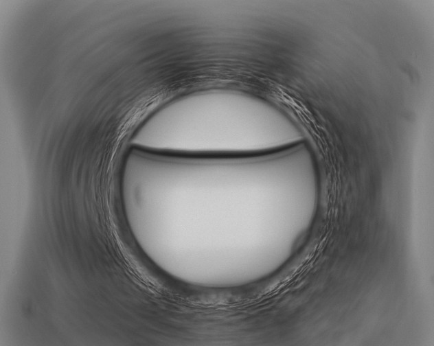 X0000113590049200909251144