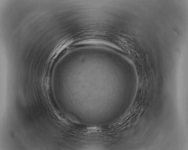 X0000113590050200909251144