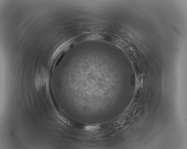 X0000113590051200909251144