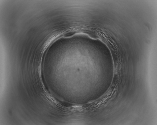 X0000113590052200909251144